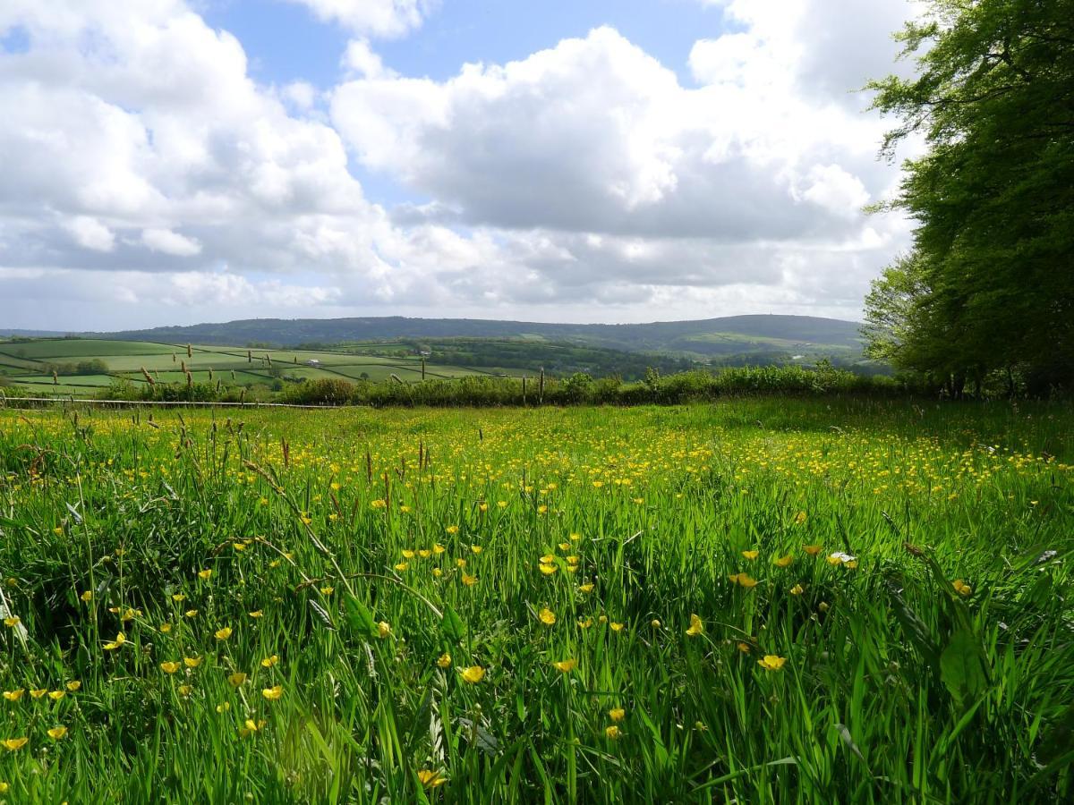 Tuell Farm Cottages Tavistock  Exterior foto